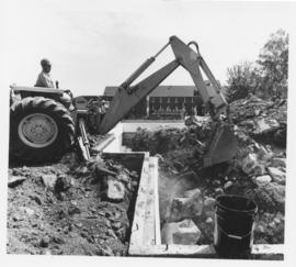 Construction of Birches