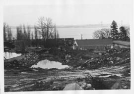 Construction of Birches