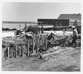 Construction of Birches