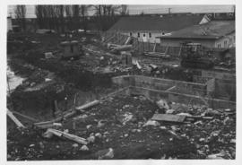 Construction of Birches